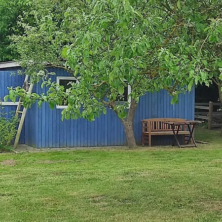 Kuestenbluete Apartment *