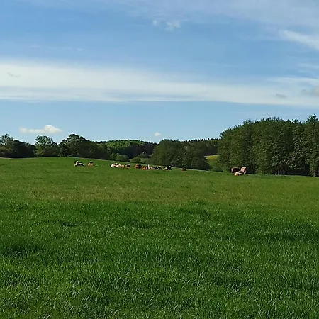 Kuestenbluete Steffenshagen