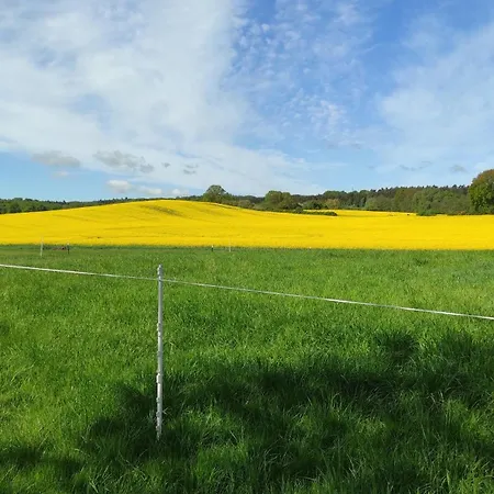 Küstenblüte *