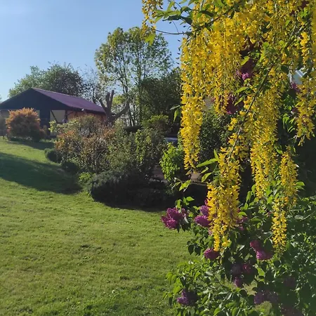 Küstenblüte Steffenshagen