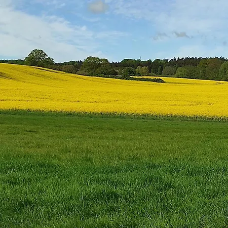 Küstenblüte