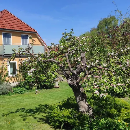 Apartment Kuestenbluete *