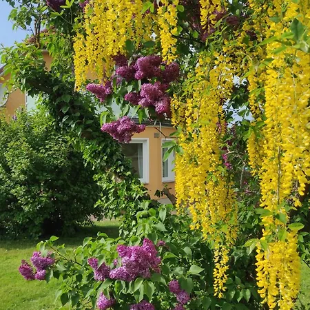 Küstenblüte Apartment
