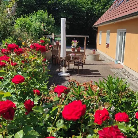 Küstenblüte *