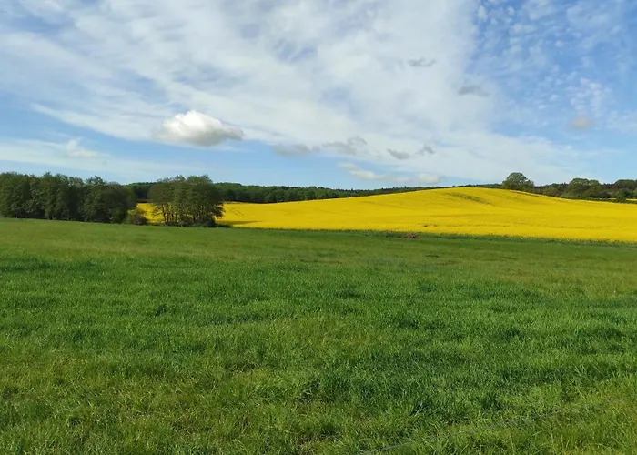 Kuestenbluete Appartamento *