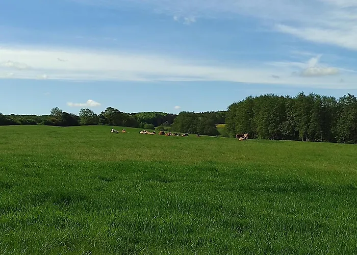 Kuestenbluete Steffenshagen