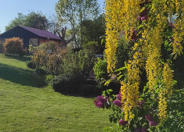 Kuestenbluete Steffenshagen