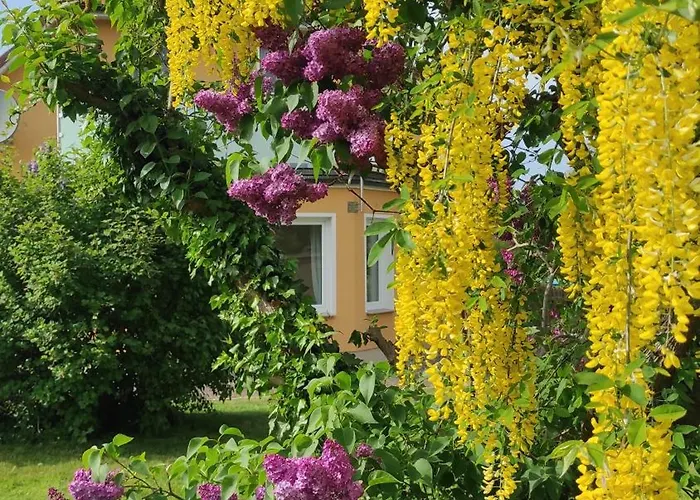 Kuestenbluete Appartamento