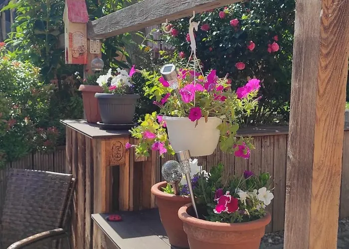 Kuestenbluete Steffenshagen